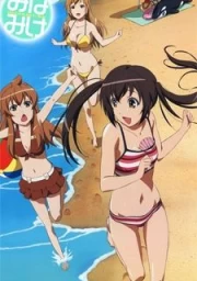 Minami-ke Natsuyasumi sub español