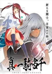 Shin Ikkitousen sub español