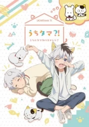 Uchi Tama?! Uchi no Tama Shirimasen ka? sub español